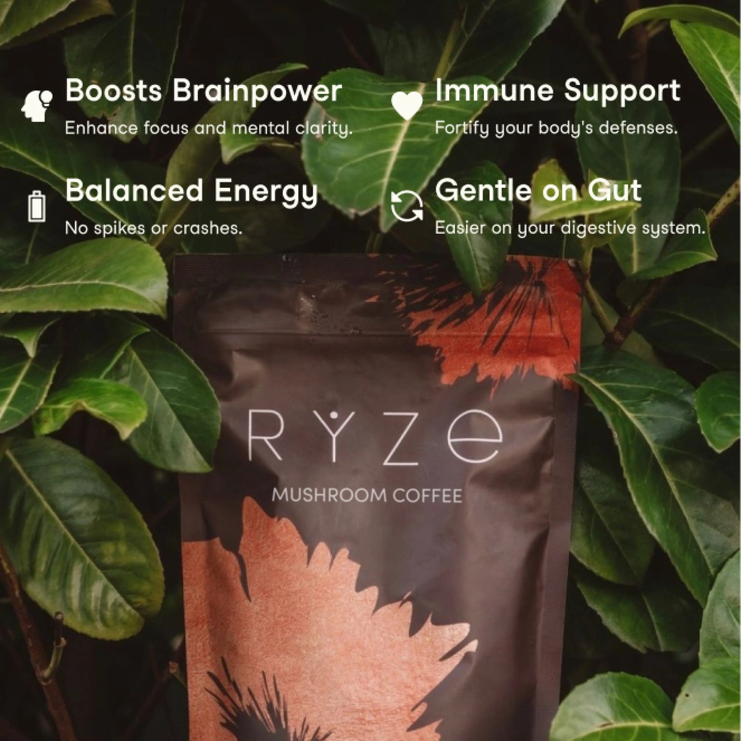 RYZE Mushroom Coffee — Organic Instant Coffee with Cordyceps & Reishi, 30 Servings
