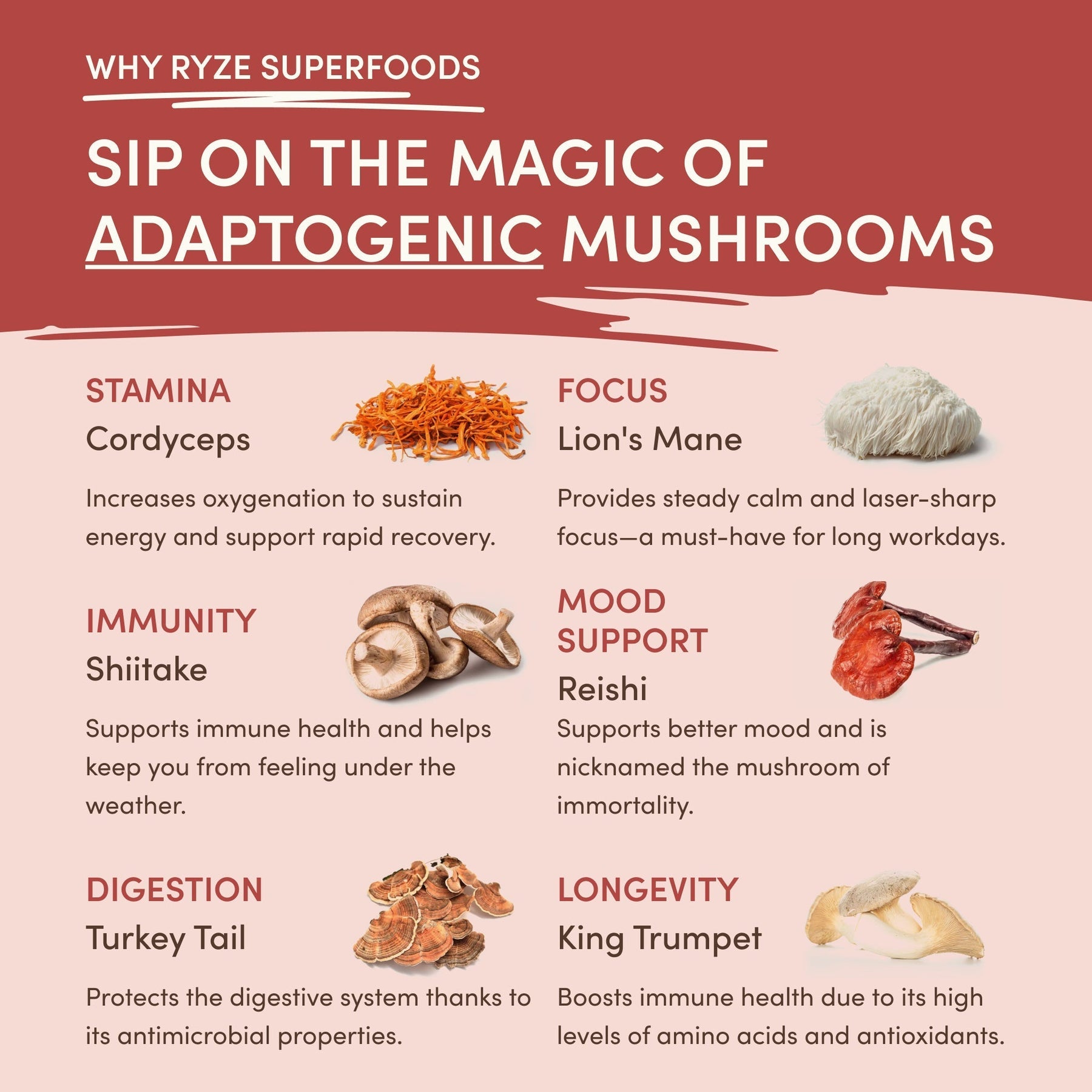 RYZE Mushroom Chai — Organic Instant Chai with Reishi & Organic Black Tea, 20 Servings