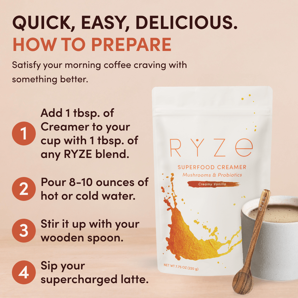 Mocha Creamer 3-Pack